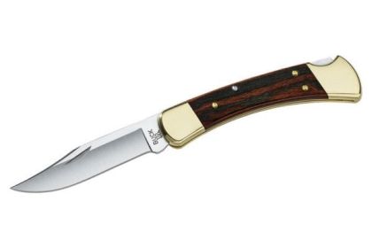 Buck -110 Folding Hunter Knife