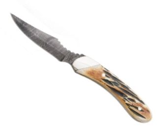 6 3/4 In. Genuine India Stag Bone Caper Damascus W/leather Sheath