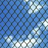 Chain Link Fence with Posts Steel 59.1"x 984.3" Green